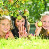 Heute übergibt der Sommer das Zepter an den Herbst
