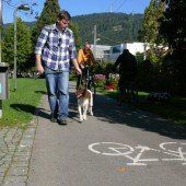 Hundeleinenpflicht auf Radwegen?