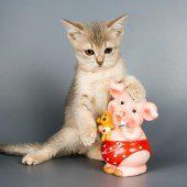 „Schwerli hŏt d‘ Katz Färli.“