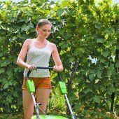 Zwist um Gärten und Parkplätze geht weiter