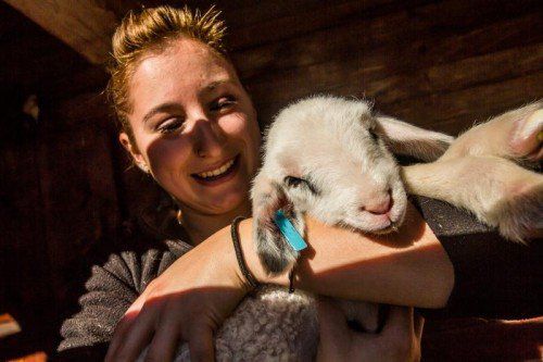 Melanie umsorgte „Lilly“, die Jüngste in der Herde.  Foto: VN/PS