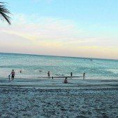 Aus dem Urwald ans blaue Meer