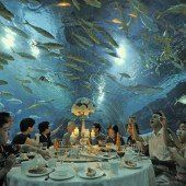 Dinner der etwas anderen Art