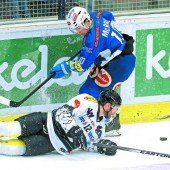 Frischer Wind für die Bulldogs