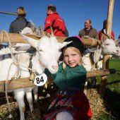 Volksfest lockte Tausende in den Bregenzerwald