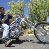 Eine Million Euro für Harley
