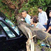 „Vongfong“ fegte über Japan – 25 Verletzte