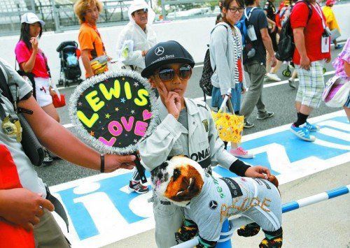 Ein junger japanischer Fan von Lewis Hamilton ist für den Grand Prix in Suzuka perfekt ausgestattet, sogar Vierbeiner Roscoe ist dabei. Foto: ap