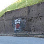 Gerichtsurteil nach „Affentheater“ um einen Sprayer in Müselbach