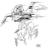 Die Faymann-Mission