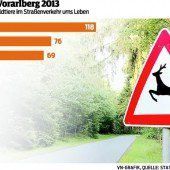 Achtung: Auf den Vorarlberger Straßen geht es wieder wild zu