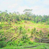 Entspanntes Leben in Indonesien