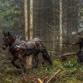 Landesmeisterschaft in der künstlerischen Fotografie mit tierisch guten Aussichten