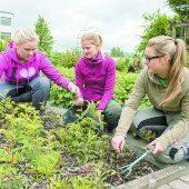 Landwirtschaft nun mit Reifeprüfung