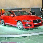Jaguar eine Nummer kleiner
