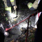 Ausgebüxtes Pferd landete in Riedgraben