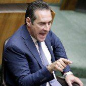 Neos und Grüne werfen FPÖ Panikmache vor