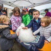 Bewusst und gesund den Dornbirner Herbst genießen