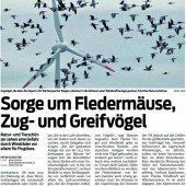 Die Vogelwelt ist wichtiger