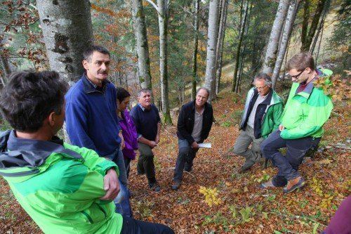Begehung im herbstlichen Masonerwald: Behördenvertreter und Waldbesitzer sind zufrieden. VN/Hofmeister