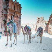 Zwischen Jordan, Wüste und Meer
