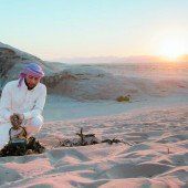 Zwischen Jordan, Wüste und Meer