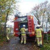 Grünmüll geht in Rauch auf