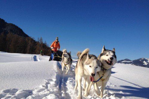 In der Alpenregion Bludenz ist auch abseits der Pisten für jede Menge Winterspaß gesorgt.   Foto: ARB