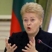 Ukraine plant Referendum über einen NATO-Beitritt
