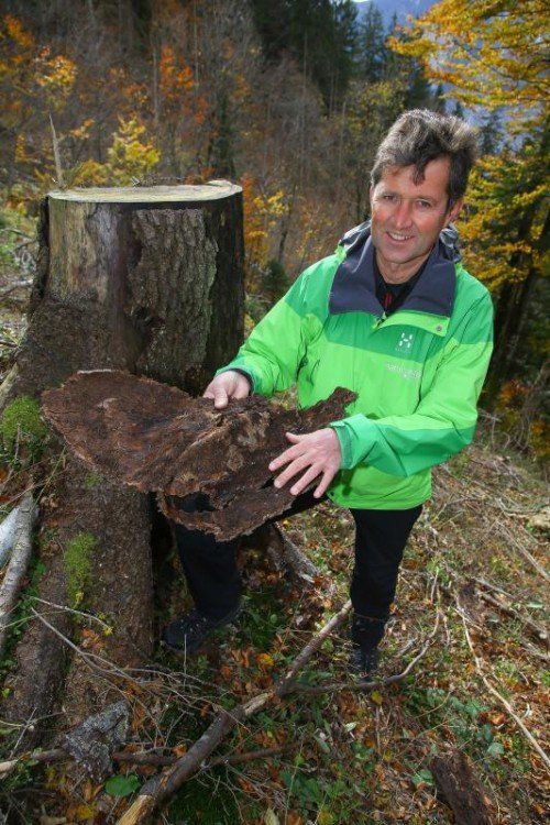 Natura 2000; Wir sind bei einer Exkursion in ein geschlägertes Gebiet dabei, dort wurden die Auswirkungen von Nutzung in Natura-2000-Gebieten untersuch