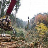 Dem Schanzgraben geht’s ans Holz