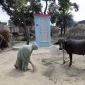 Toilettenmangel: Indien hat ehrgeizige Pläne