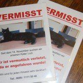 So weit die Samtpfoten tragen