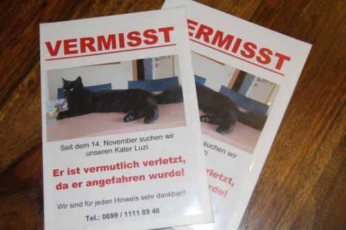 Über hundert Suchplakate verteilten die Giesingers.