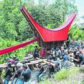 Zeremonien im Toraja-Land