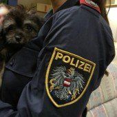 Illegale Welpenhändler in Wien verhaftet