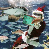 Weihnachtsmann auf Tauchstation