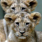 Alles im Blick