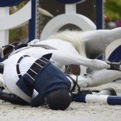 Onassis Pferd nach Sturz eingeschläfert