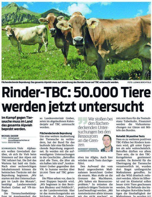 VN-Exklusivbericht vom 3. November 2014.