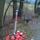 Dringend benötigte Mülleimer in Lustenau