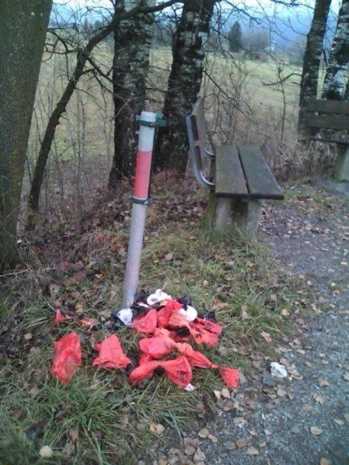 Wegen der Umgestaltung des Landesradwegs wurden die Mülleimer entfernt und die Hundesackerl landen auf dem Boden.