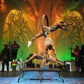 Mama Africa – Khayelitsha