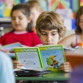 Steuern und die Bildung