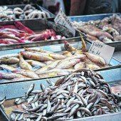 Besuch auf dem Fischmarkt