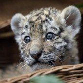 Fototermin im Berliner Zoo