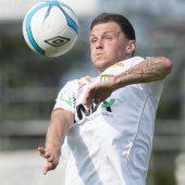 Austria gewinnt ersten Test