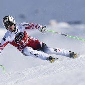 Reichelt hat Kitz verdaut
