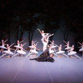 Ballett-Traum: „Schwanensee“