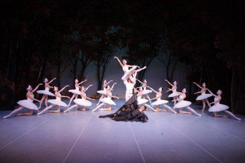 Schönheit, Eleganz und Anmut: Das St. Petersburg Festival Ballet präsentiert „Schwanensee“ im Festspielhaus.
foto: musikladen/ovations events gmbh